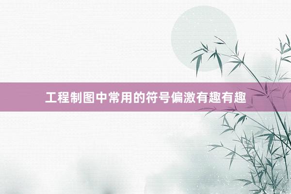 工程制图中常用的符号偏激有趣有趣
