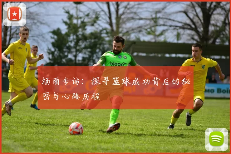 杨丽专访：探寻篮球成功背后的秘密与心路历程