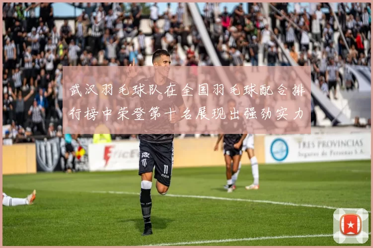 武汉羽毛球队在全国羽毛球配合排行榜中荣登第十名展现出强劲实力与团队默契