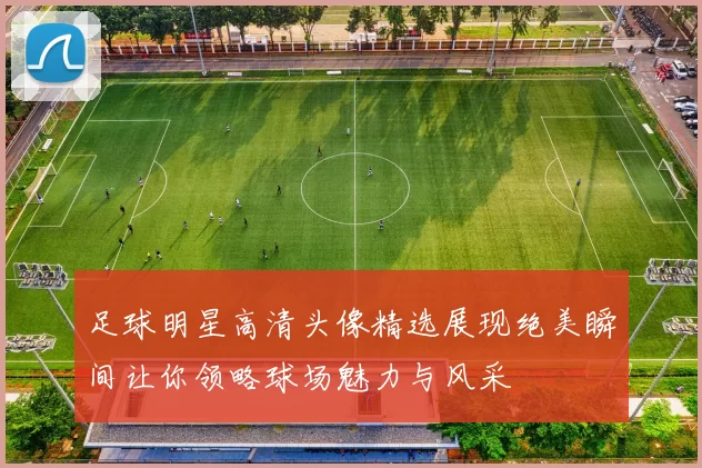 足球明星高清头像精选展现绝美瞬间让你领略球场魅力与风采