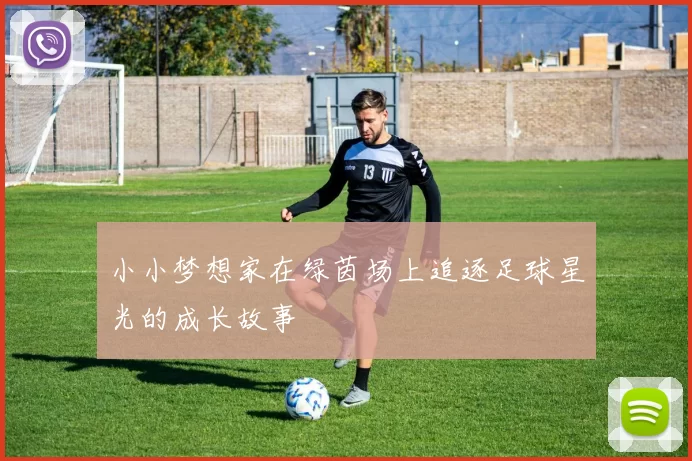 小小梦想家在绿茵场上追逐足球星光的成长故事