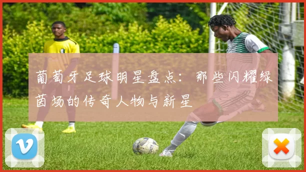 葡萄牙足球明星盘点：那些闪耀绿茵场的传奇人物与新星