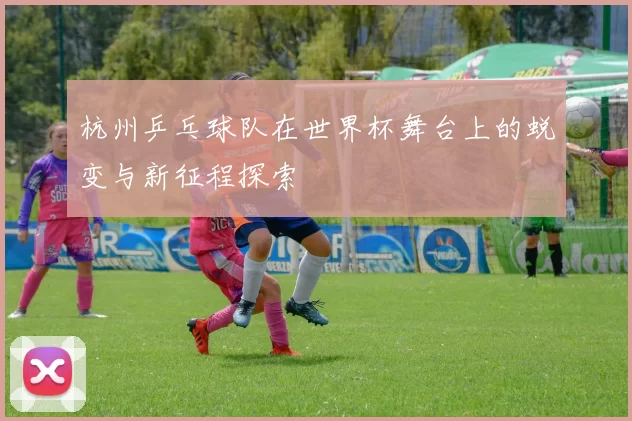 杭州乒乓球队在世界杯舞台上的蜕变与新征程探索