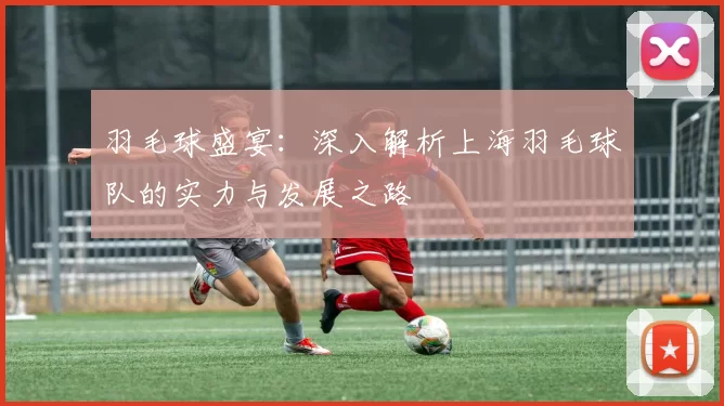 羽毛球盛宴：深入解析上海羽毛球队的实力与发展之路
