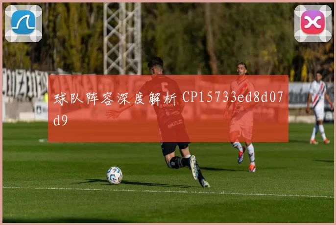 球队阵容深度解析 CP15733ed8d07d9