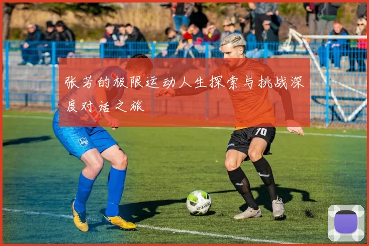 张芳的极限运动人生探索与挑战深度对话之旅