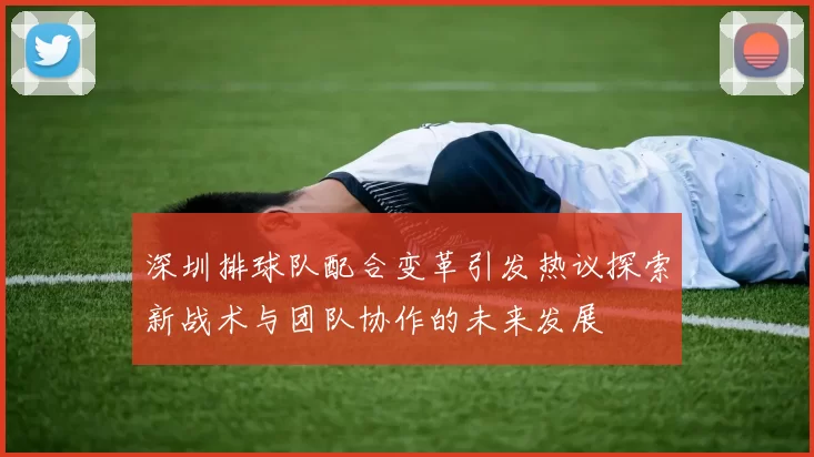 深圳排球队配合变革引发热议探索新战术与团队协作的未来发展