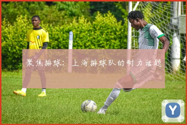 聚焦排球：上海排球队的耐力话题