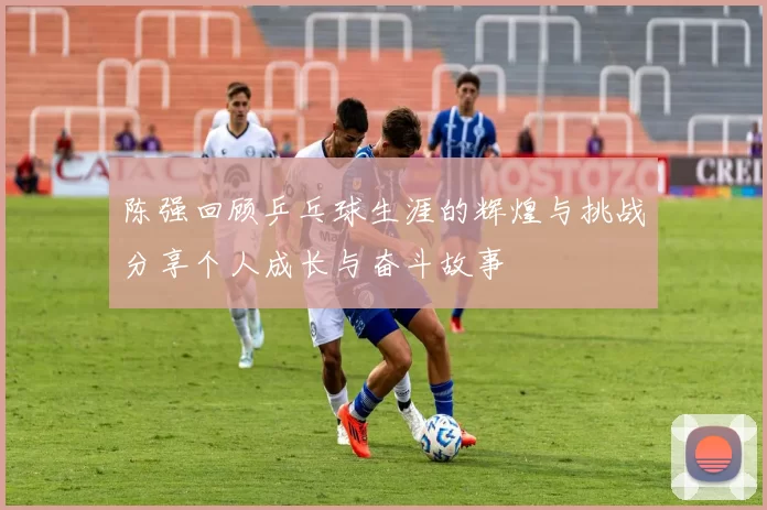 陈强回顾乒乓球生涯的辉煌与挑战分享个人成长与奋斗故事