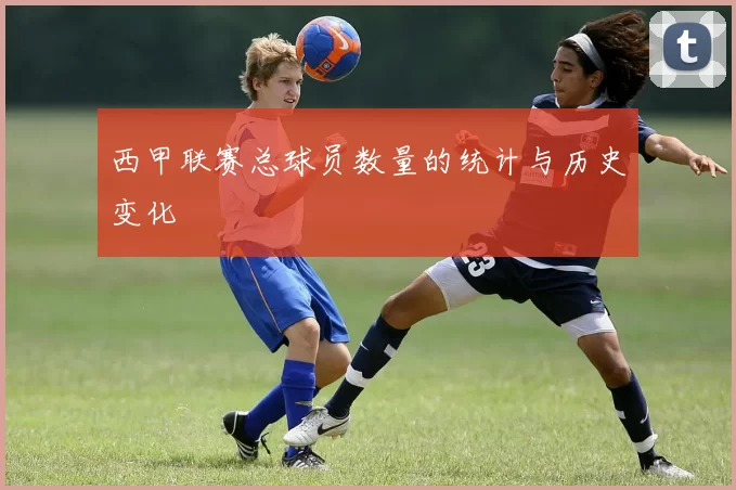 西甲联赛总球员数量的统计与历史变化