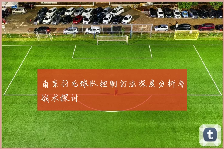 南京羽毛球队控制打法深度分析与战术探讨