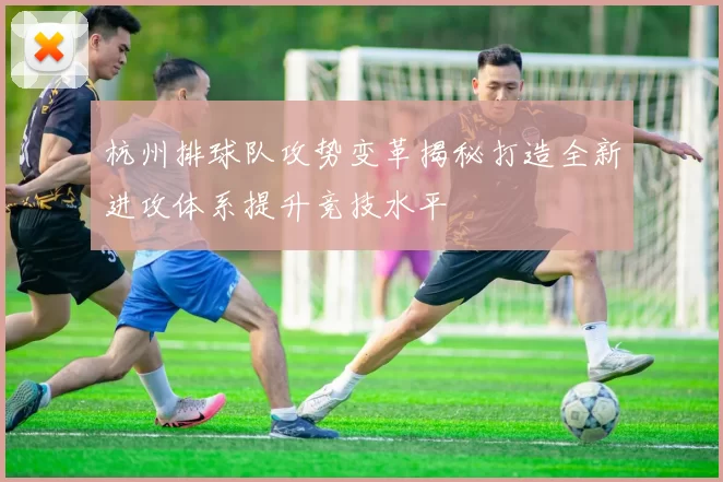 杭州排球队攻势变革揭秘打造全新进攻体系提升竞技水平