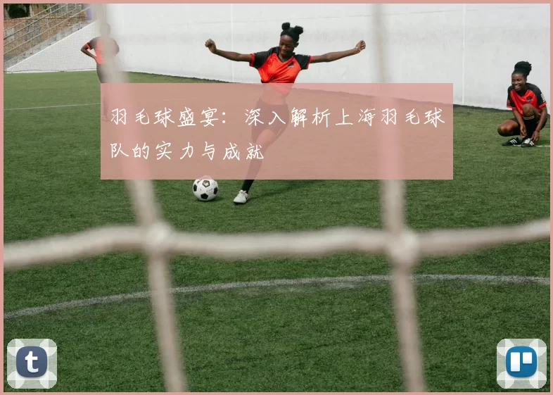 羽毛球盛宴：深入解析上海羽毛球队的实力与成就