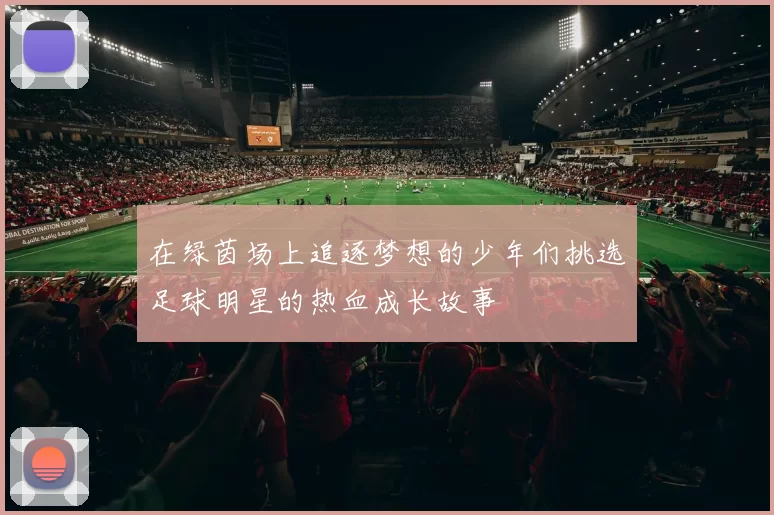 在绿茵场上追逐梦想的少年们挑选足球明星的热血成长故事