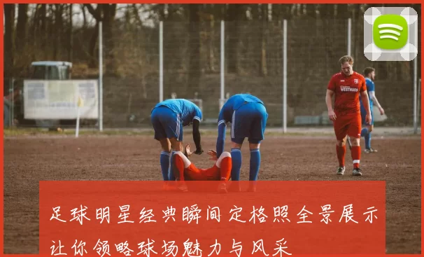 足球明星经典瞬间定格照全景展示让你领略球场魅力与风采