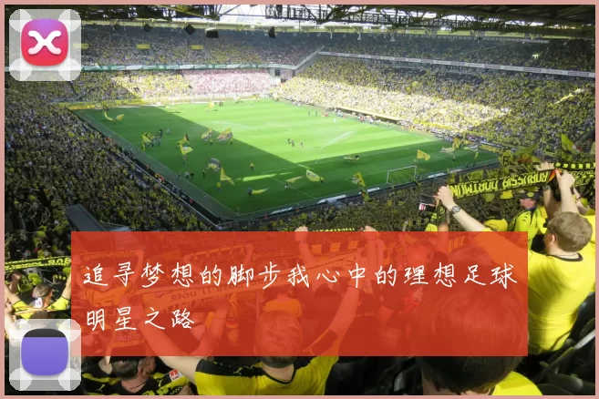 追寻梦想的脚步我心中的理想足球明星之路