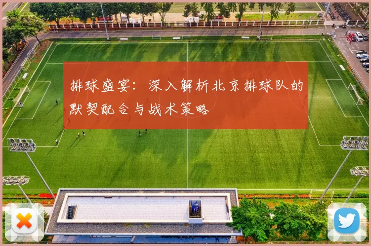 排球盛宴：深入解析北京排球队的默契配合与战术策略