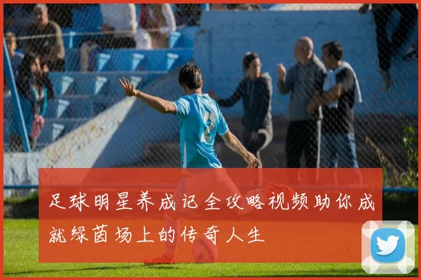 足球明星养成记全攻略视频助你成就绿茵场上的传奇人生