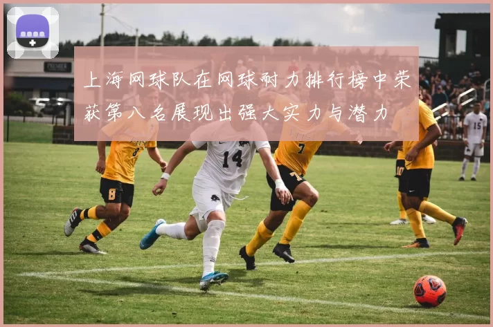 上海网球队在网球耐力排行榜中荣获第八名展现出强大实力与潜力