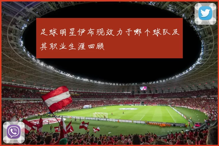 足球明星伊布现效力于哪个球队及其职业生涯回顾