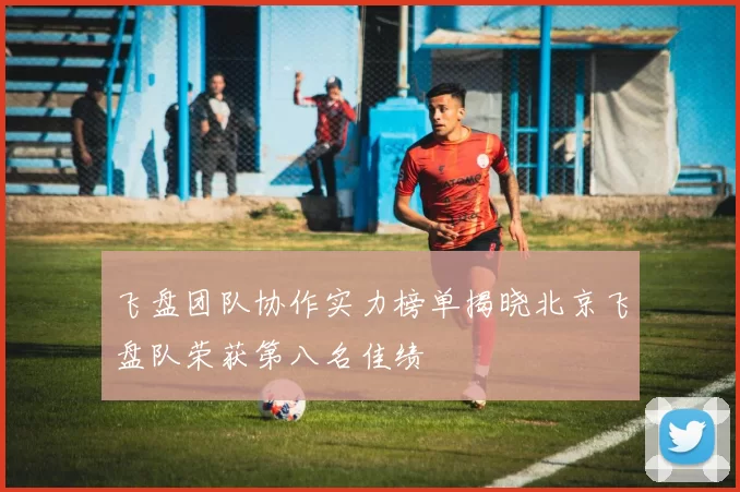 飞盘团队协作实力榜单揭晓北京飞盘队荣获第八名佳绩