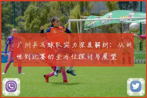 广州乒乓球队实力深度解析：从训练到比赛的全方位探讨与展望