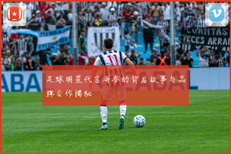足球明星代言海参的背后故事与品牌合作揭秘