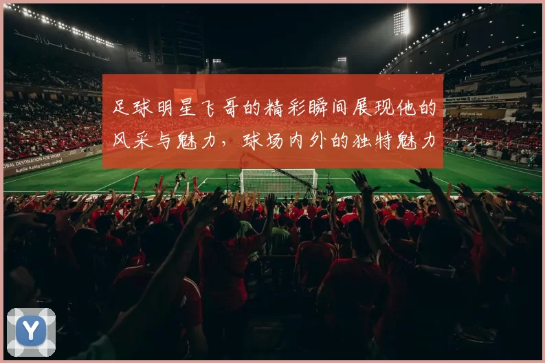 足球明星飞哥的精彩瞬间展现他的风采与魅力，球场内外的独特魅力尽在其中