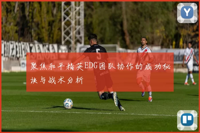 聚焦和平精英EDG团队协作的成功秘诀与战术分析