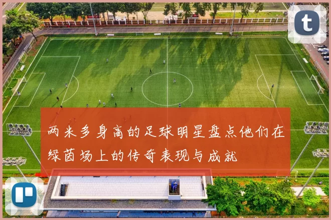 两米多身高的足球明星盘点他们在绿茵场上的传奇表现与成就