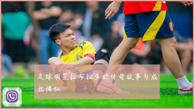 足球明星拉布拉多的传奇故事与成就揭秘