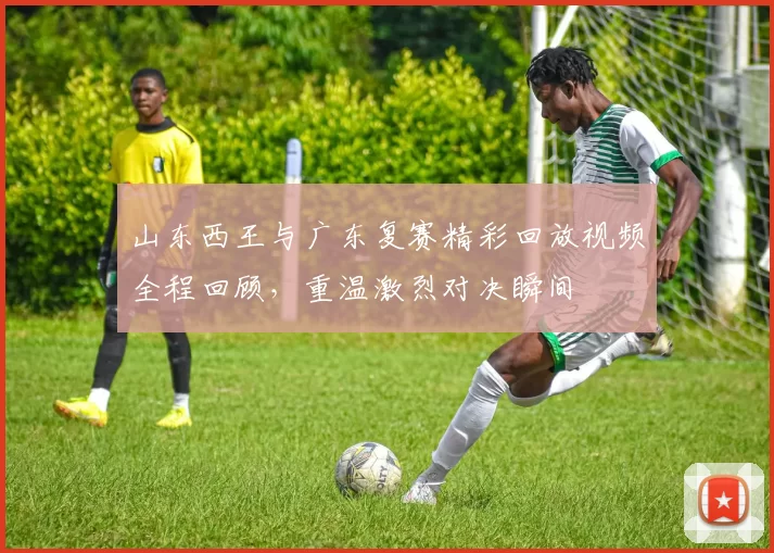 山东西王与广东复赛精彩回放视频全程回顾，重温激烈对决瞬间
