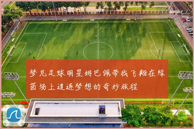 梦见足球明星姆巴佩带我飞翔在绿茵场上追逐梦想的奇妙旅程