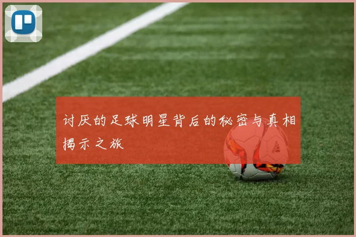 讨厌的足球明星背后的秘密与真相揭示之旅
