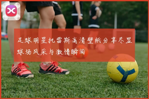 足球明星托雷斯高清壁纸分享尽显球场风采与激情瞬间