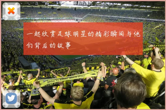 一起欣赏足球明星的精彩瞬间与他们背后的故事